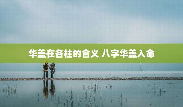 华盖在各柱的含义 八字华盖入命