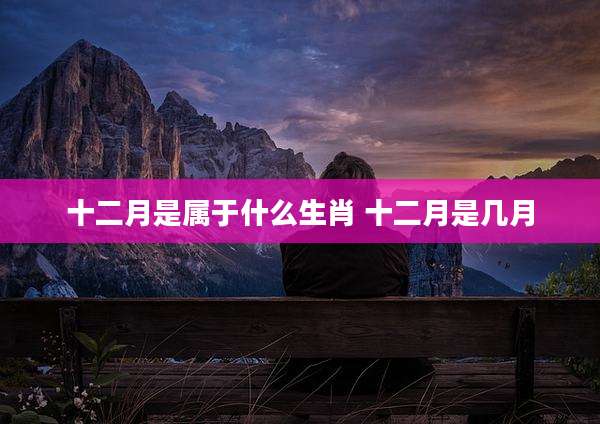十二月是属于什么生肖 十二月是几月