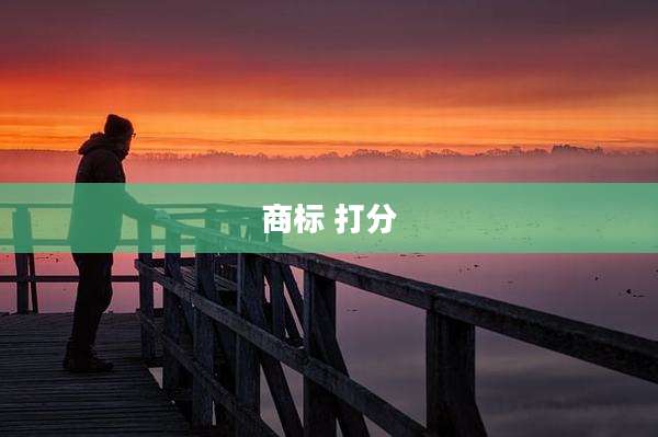 商标 打分