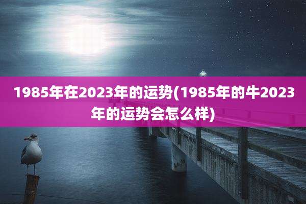 1985年在2023年的运势(1985年的牛2023年的运势会怎么样)