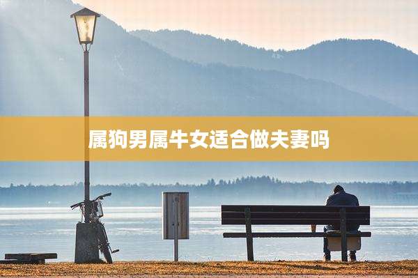 属狗男属牛女适合做夫妻吗