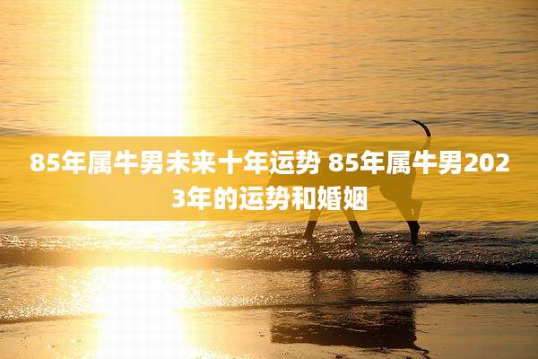 85年属牛男未来十年运势 85年属牛男2023年的运势和婚姻