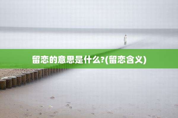 留恋的意思是什么?(留恋含义)