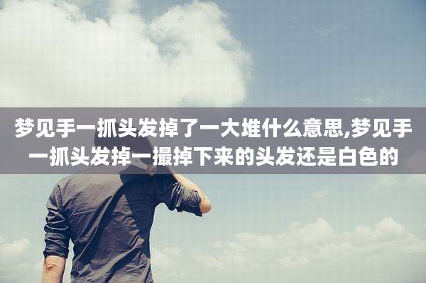 梦见手一抓头发掉了一大堆什么意思,梦见手一抓头发掉一撮掉下来的头发还是白色的