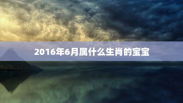 2016年6月属什么生肖的宝宝