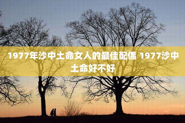 1977年沙中土命女人的最佳配偶 1977沙中土命好不好