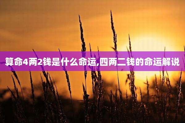 算命4两2钱是什么命运,四两二钱的命运解说