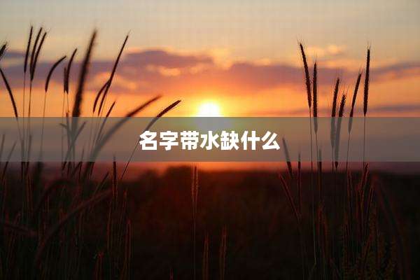 名字带水缺什么