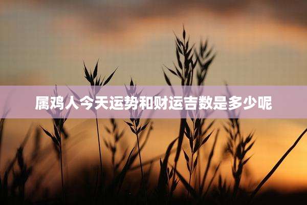 属鸡人今天运势和财运吉数是多少呢