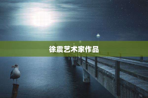 徐震艺术家作品