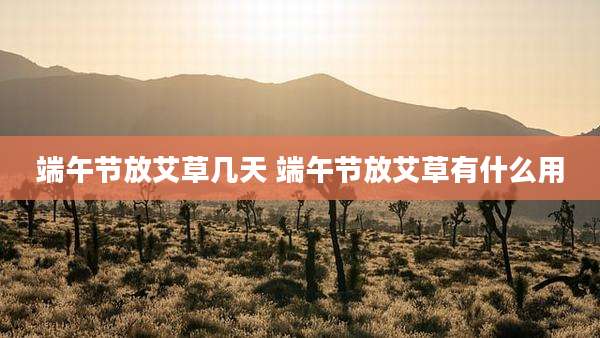 端午节放艾草几天 端午节放艾草有什么用