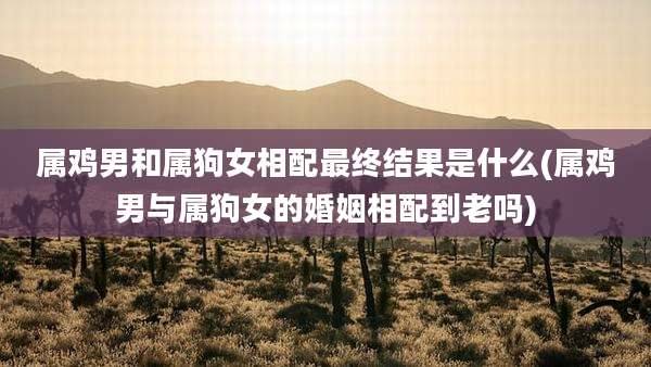 属鸡男和属狗女相配最终结果是什么(属鸡男与属狗女的婚姻相配到老吗)