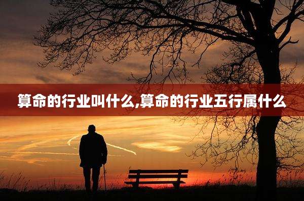 算命的行业叫什么,算命的行业五行属什么