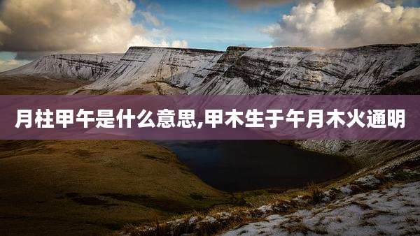 月柱甲午是什么意思,甲木生于午月木火通明