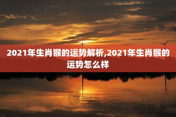 2021年生肖猴的运势解析,2021年生肖猴的运势怎么样