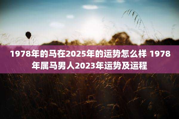 1978年的马在2025年的运势怎么样 1978年属马男人2023年运势及运程