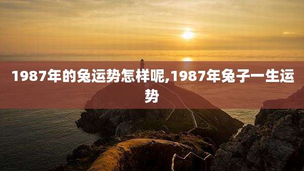 1987年的兔运势怎样呢,1987年兔子一生运势