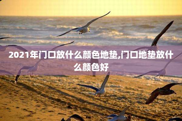 2021年门口放什么颜色地垫,门口地垫放什么颜色好
