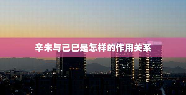 辛未与己巳是怎样的作用关系