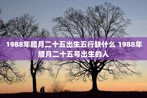 1988年腊月二十五出生五行缺什么 1988年腊月二十五号出生的人
