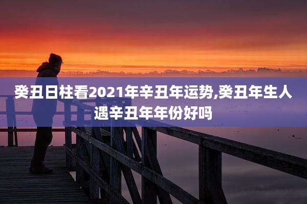 癸丑日柱看2021年辛丑年运势,癸丑年生人遇辛丑年年份好吗