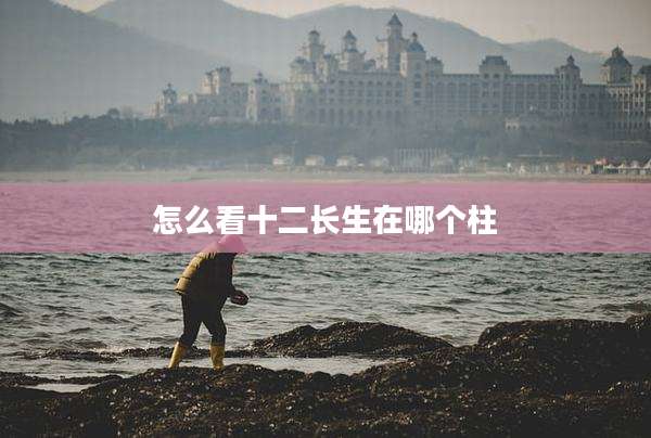 怎么看十二长生在哪个柱