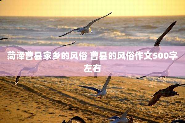 菏泽曹县家乡的风俗 曹县的风俗作文500字左右