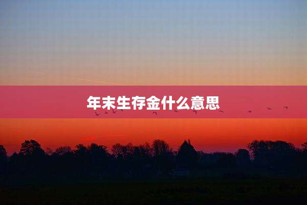 年末生存金什么意思