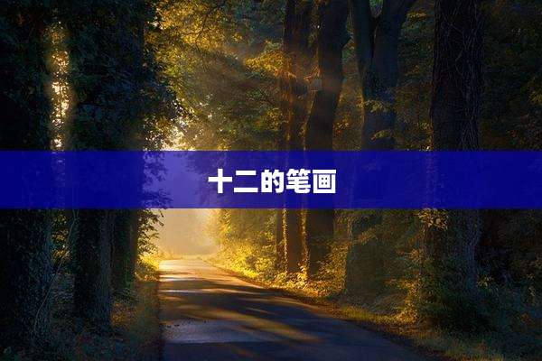 十二的笔画