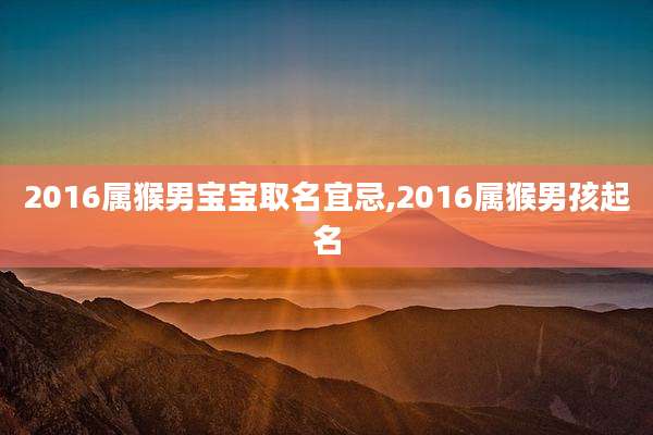 2016属猴男宝宝取名宜忌,2016属猴男孩起名