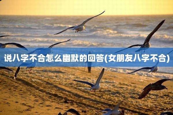 说八字不合怎么幽默的回答(女朋友八字不合)
