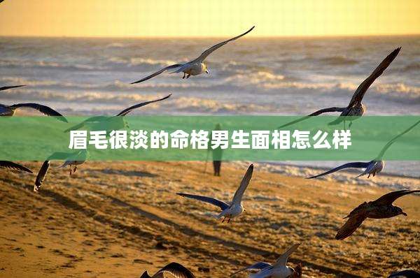 眉毛很淡的命格男生面相怎么样