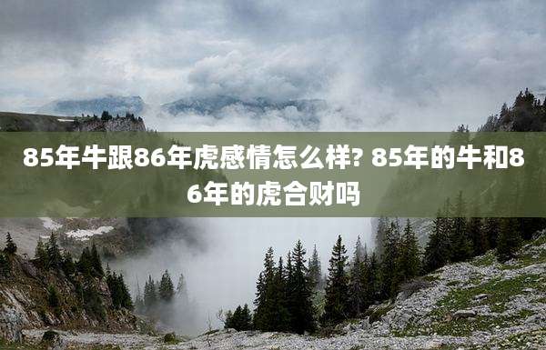 85年牛跟86年虎感情怎么样? 85年的牛和86年的虎合财吗