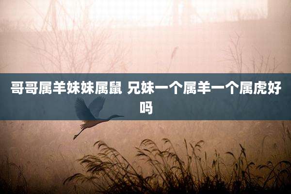 哥哥属羊妹妹属鼠 兄妹一个属羊一个属虎好吗