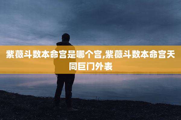 紫薇斗数本命宫是哪个宫,紫薇斗数本命宫天同巨门外表