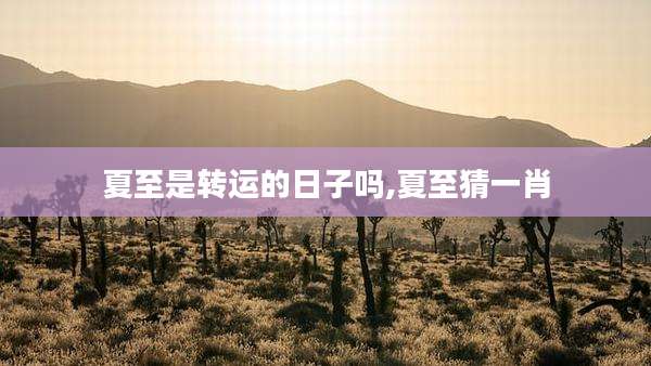 夏至是转运的日子吗,夏至猜一肖