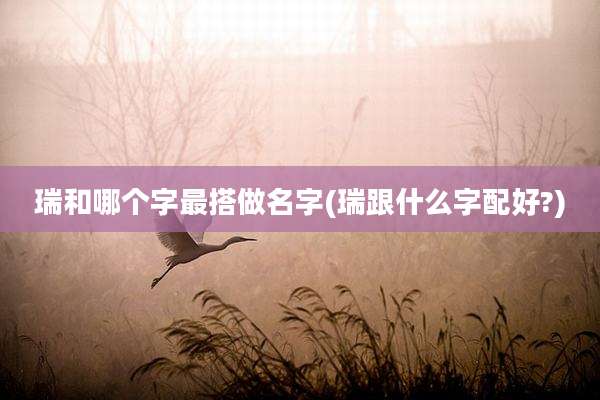 瑞和哪个字最搭做名字(瑞跟什么字配好?)