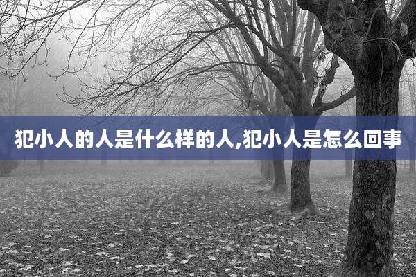 犯小人的人是什么样的人,犯小人是怎么回事