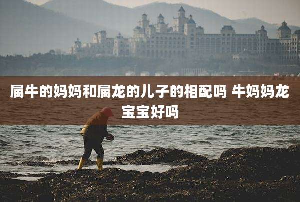 属牛的妈妈和属龙的儿子的相配吗 牛妈妈龙宝宝好吗