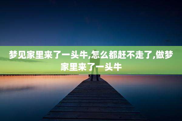梦见家里来了一头牛,怎么都赶不走了,做梦家里来了一头牛