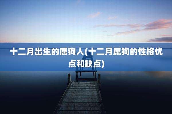 十二月出生的属狗人(十二月属狗的性格优点和缺点)