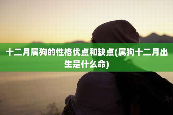 十二月属狗的性格优点和缺点(属狗十二月出生是什么命)
