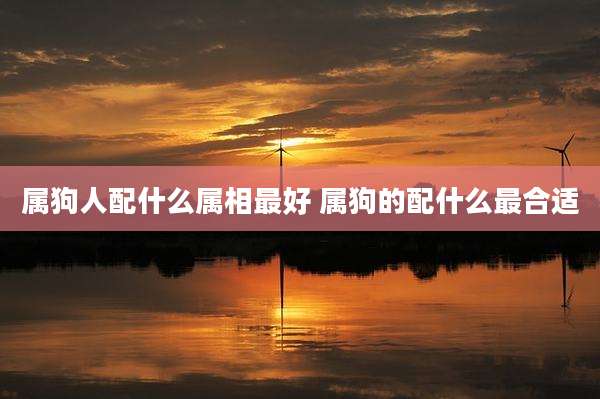 属狗人配什么属相最好 属狗的配什么最合适