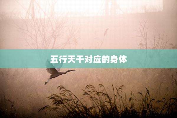 五行天干对应的身体
