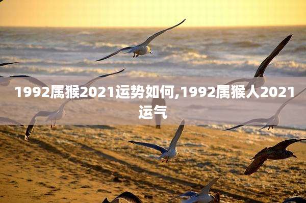 1992属猴2021运势如何,1992属猴人2021运气