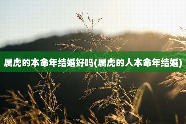 属虎的本命年结婚好吗(属虎的人本命年结婚)