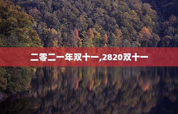 二零二一年双十一,2820双十一