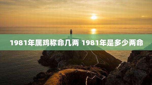 1981年属鸡称命几两 1981年是多少两命