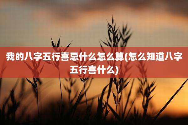 我的八字五行喜忌什么怎么算(怎么知道八字五行喜什么)