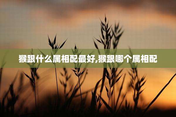 猴跟什么属相配最好,猴跟哪个属相配
